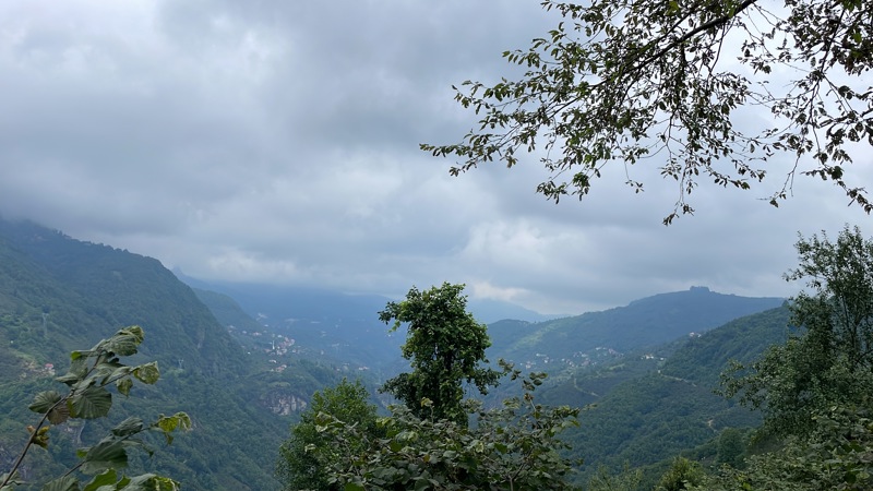 GİRESUN BULANCAK'TA 4.652 M2 SATILIK FINDIK BAHÇESİ